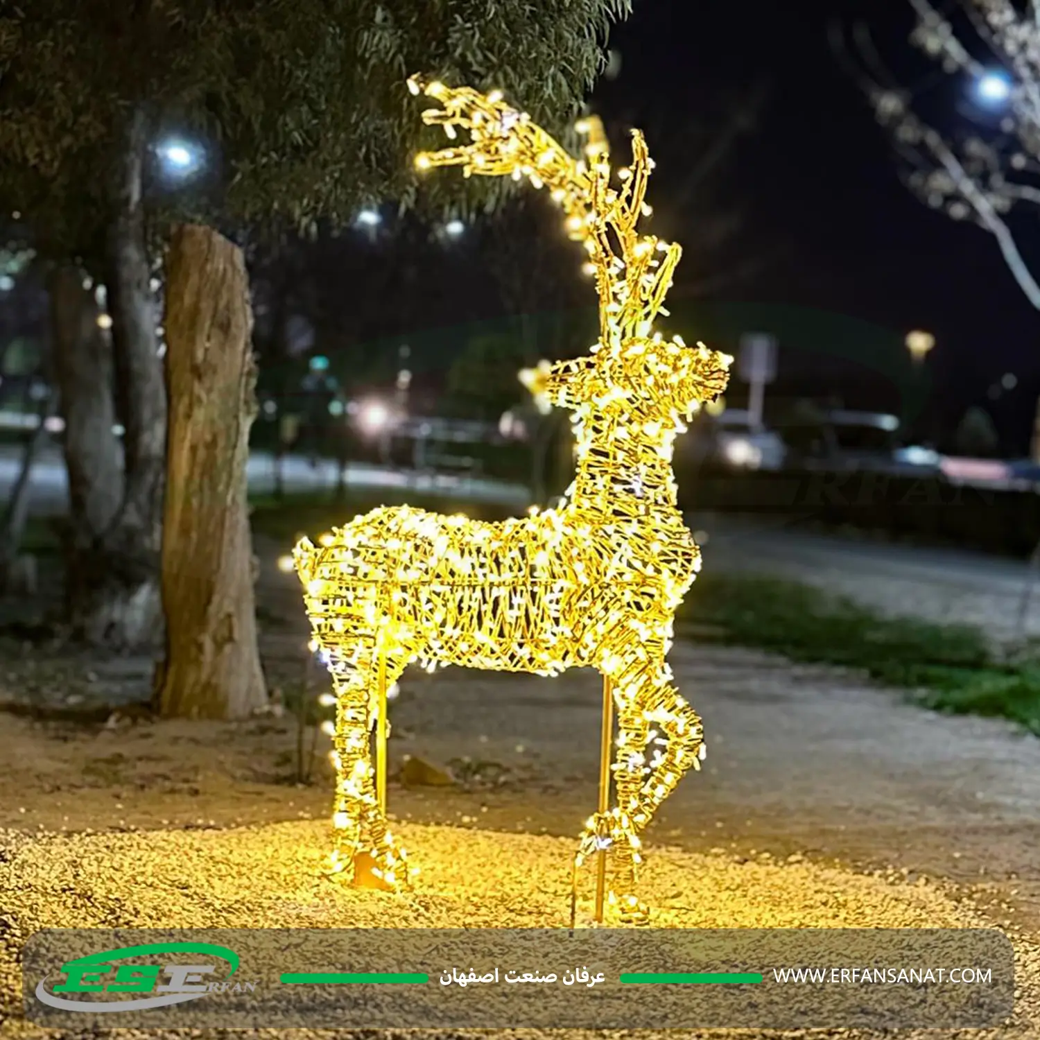 المان نوری گوزن نوری
